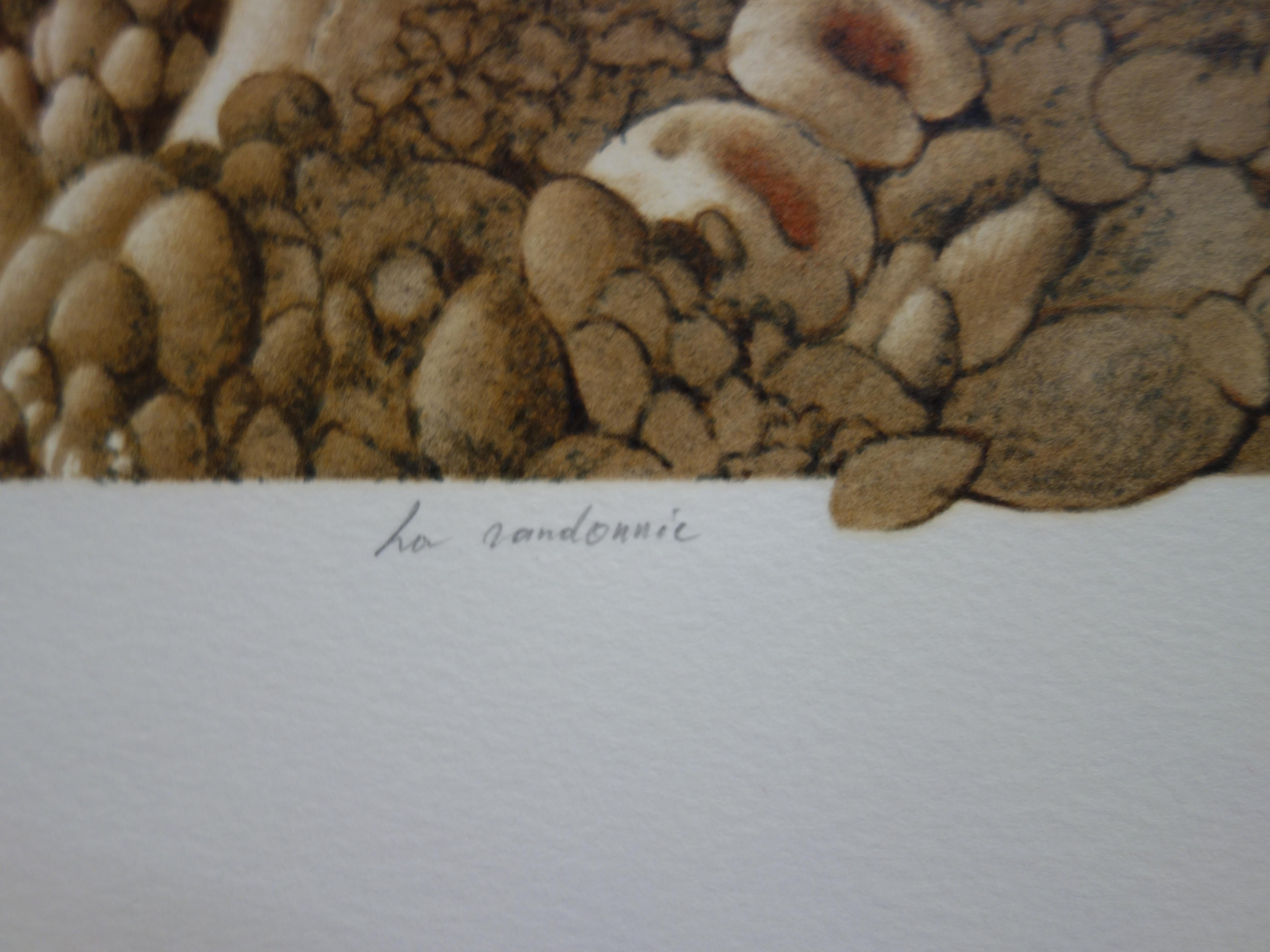 Bicycles and Mushrooms - Original handsigned lithograph For Sale 1