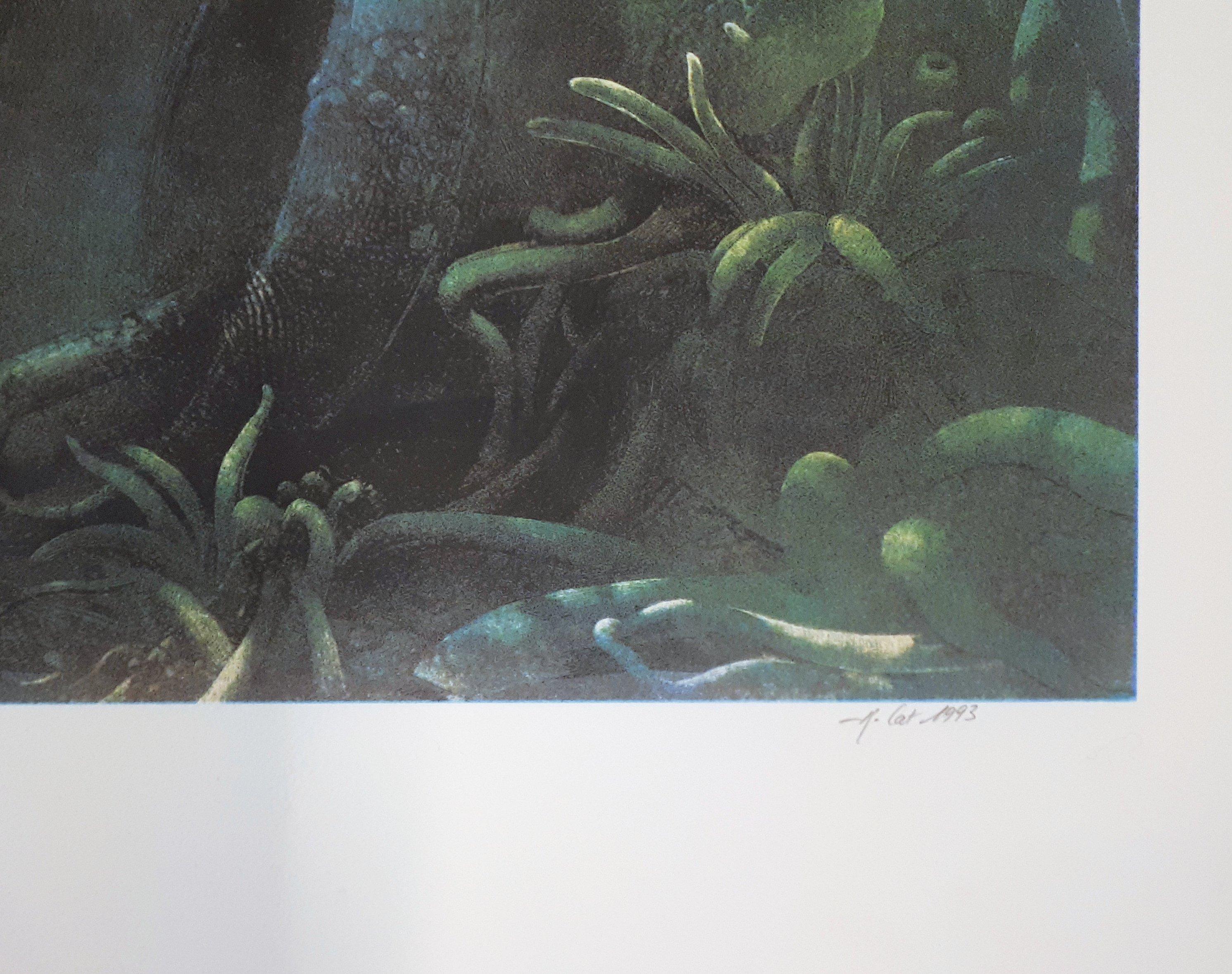 Seabed with Dolphin - Original handsigned lithograph - Print by Roland Cat