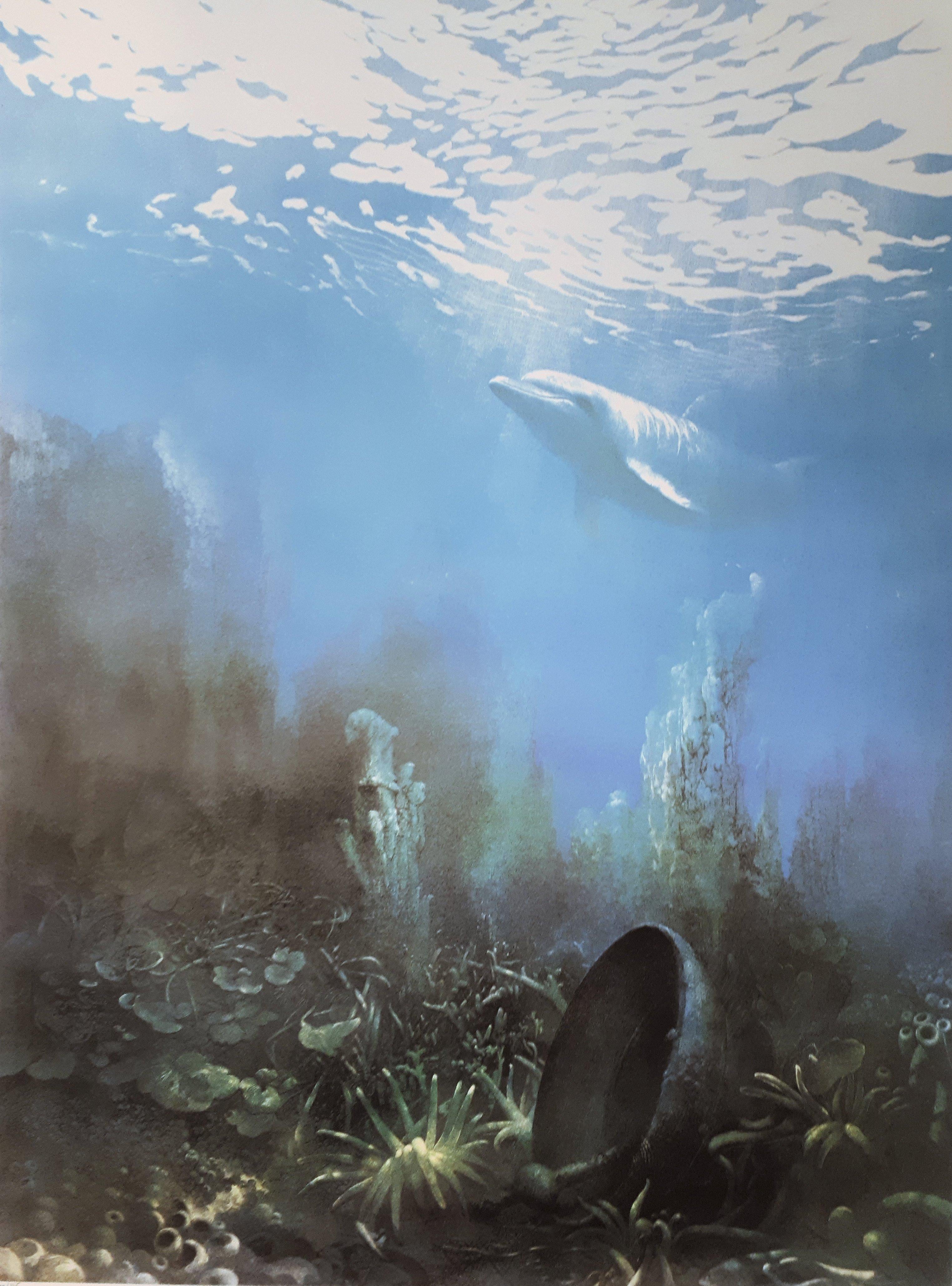 Seabed with Dolphin - Original handsigned lithograph - Realist Print by Roland Cat