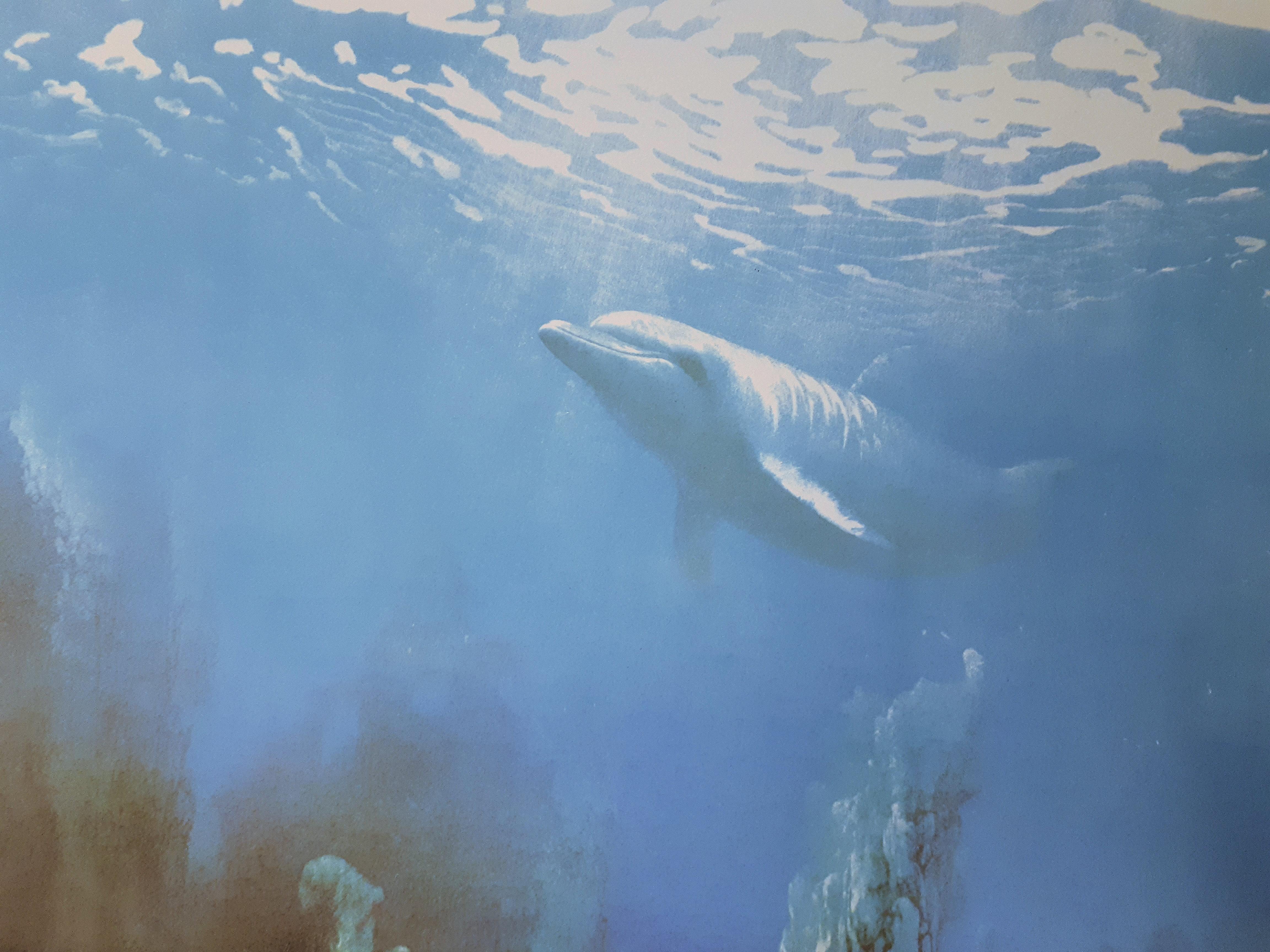 Seabed with Dolphin - Original handsigned lithograph - Gray Landscape Print by Roland Cat