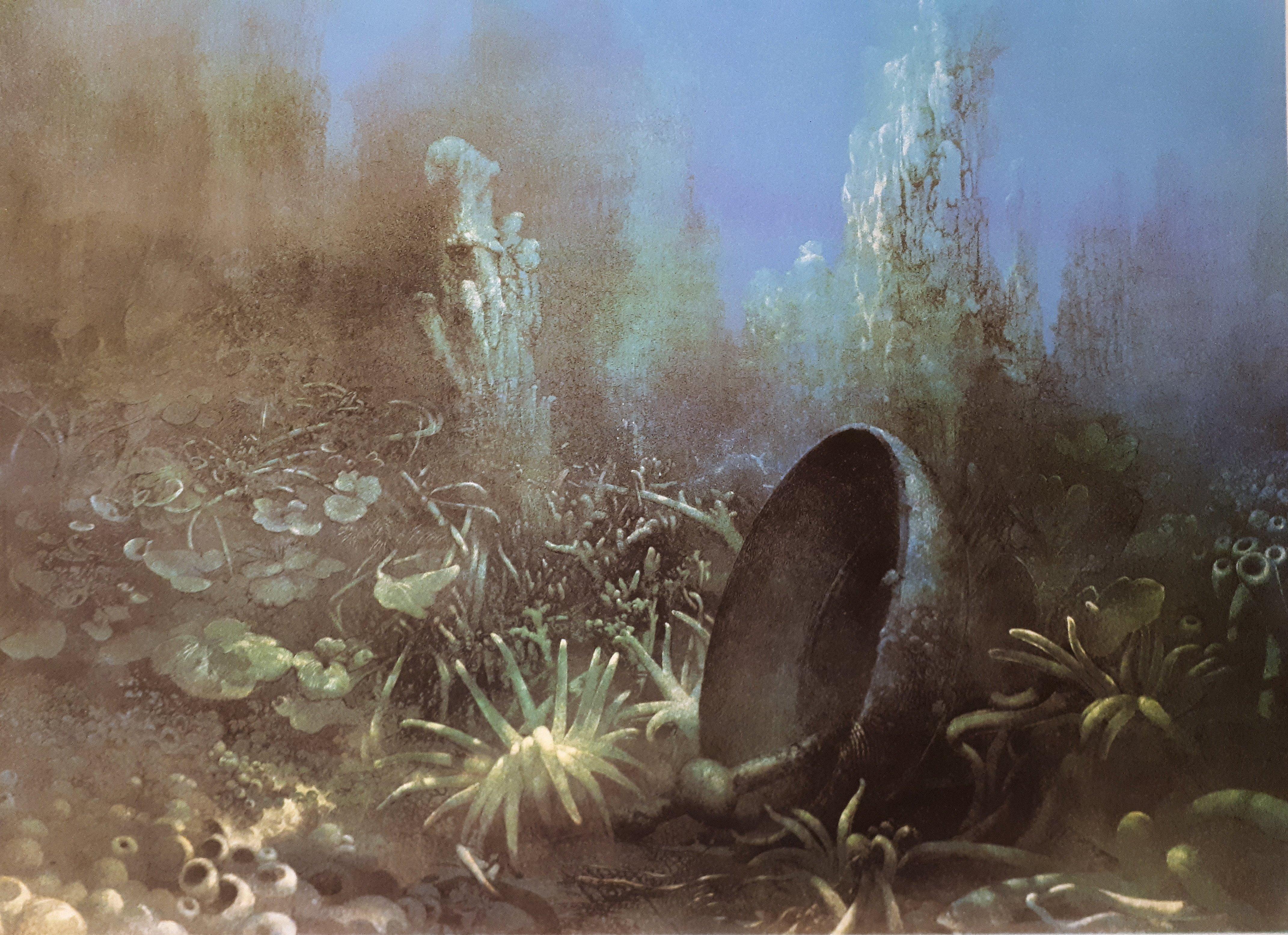 Roland Cat
Seabed with Dolphin

Original lithograph
Handsigned in pencil
Limited /275 copies
On vellum 90 x 63 cm (c. 35.43 x 24.8 in)

Excellent condition