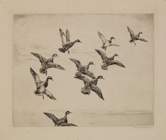 Indecision ( Mallards Rising ) original signed etching by Roland Clark