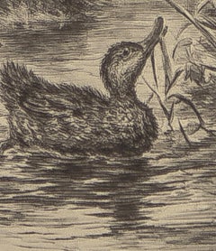 Young Ducks original signed etching by Roland Clark