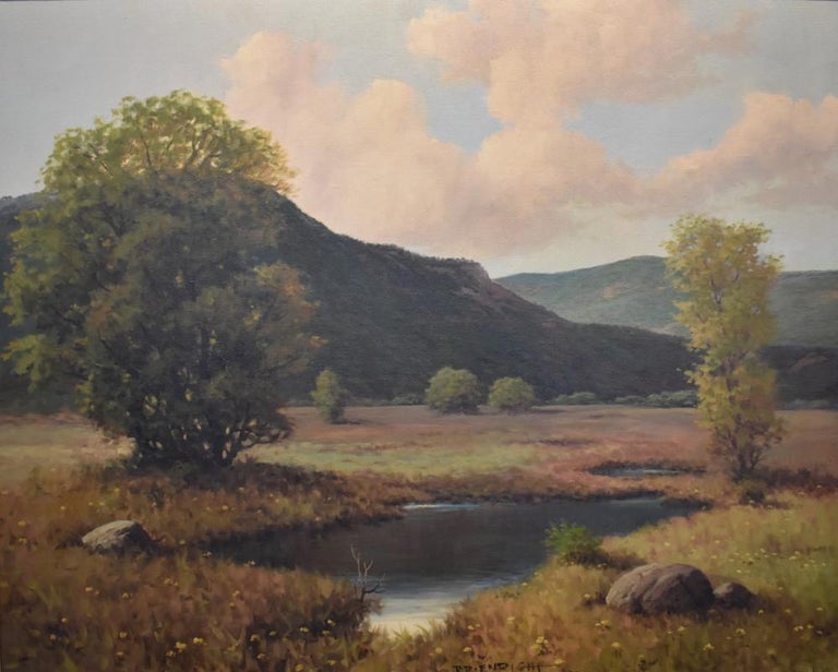 Roland D. Enright Landscape Painting - "Hill Country Pond" Texas Hill Country
