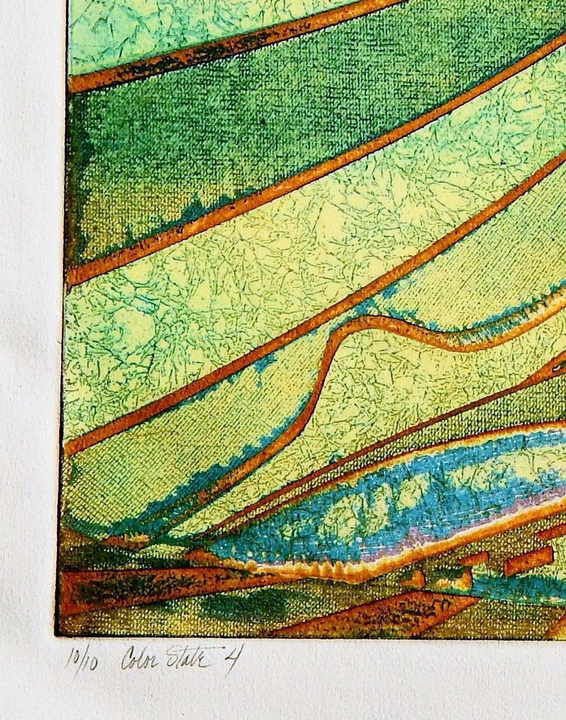 Acquaforte astratta a colori di Roland Petersen, motivo Whiskeytown in vendita 2