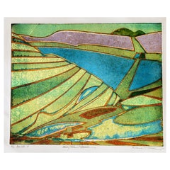 Roland Petersen Abstract Color Etching, Whiskeytown Pattern