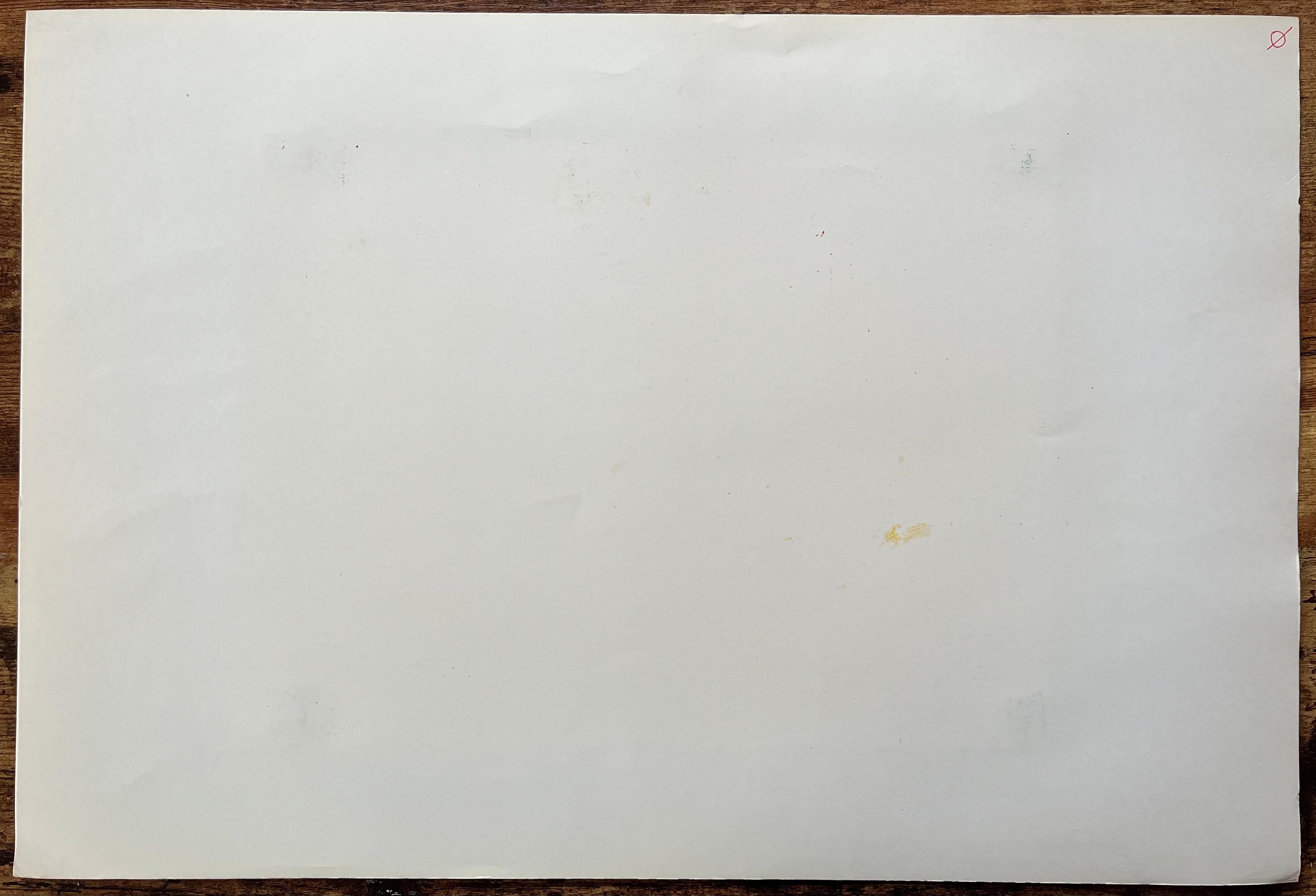 Un artista al lavoro su uno studio di colombe - Pittura ad olio figurativa contemporanea in vendita 1