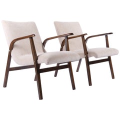 Roland Rainer Chairs Armchairs Cafe Ritter, New Upholstered Velours Velvet, 1952