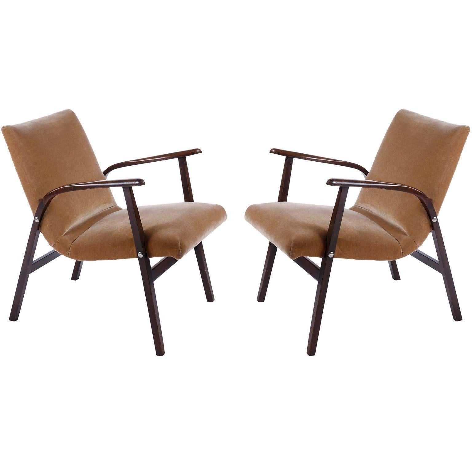 Roland Rainer Loungesessel Sessel Cafe Ritter, Holz neu gepolstert, 1950er Jahre im Angebot 1