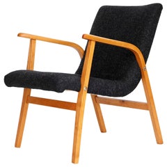 Roland Rainer Lounge Chair Armchair Cafe Ritter, Wood Newly Upholstered, 1950s