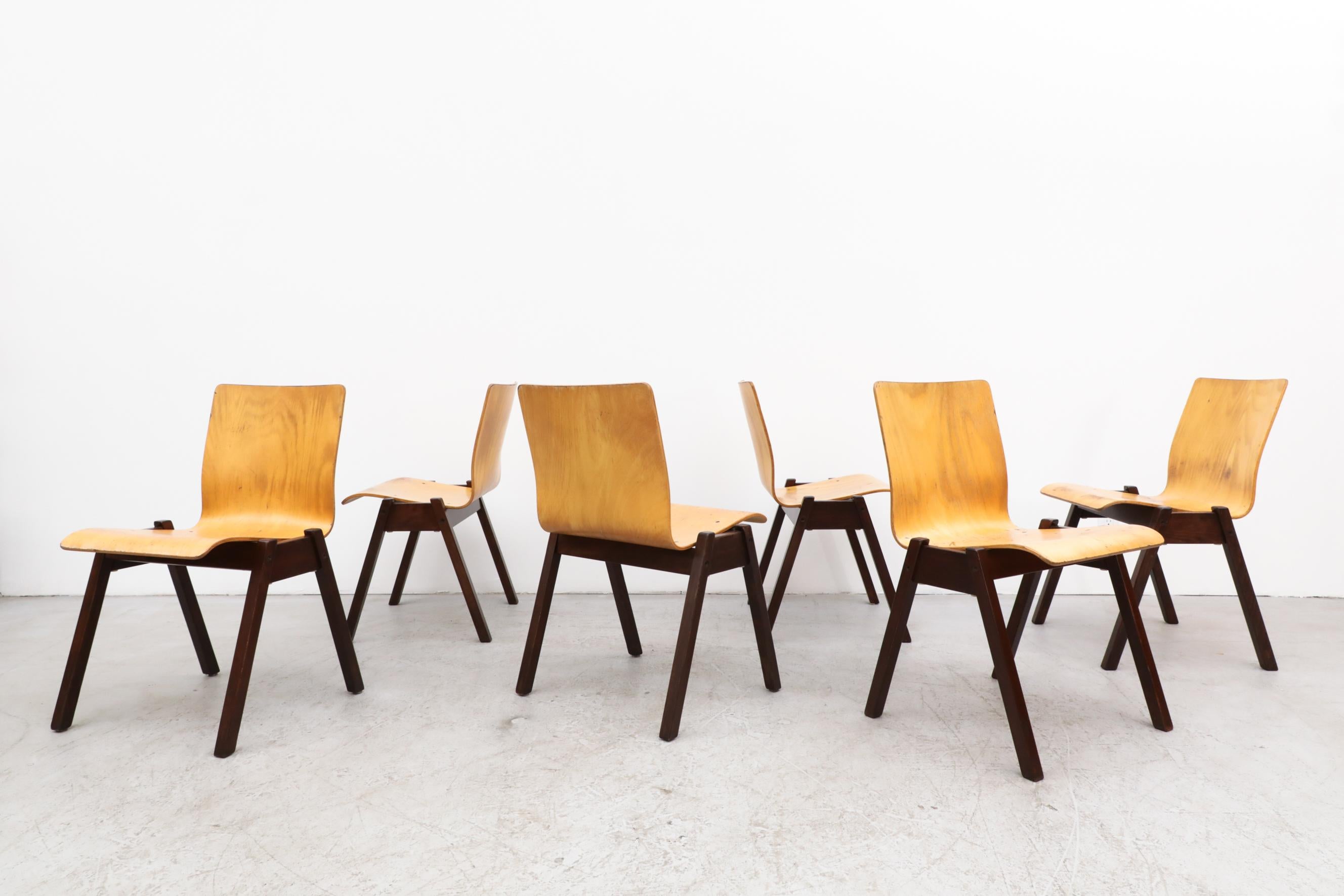 Roland Rainer style stacking chairs with bent beech wood seating and dark brown stained wood frames. In very original condition with visible wear and signs of heavy use. These were once used in a church. Wear is consistent with their age and use.