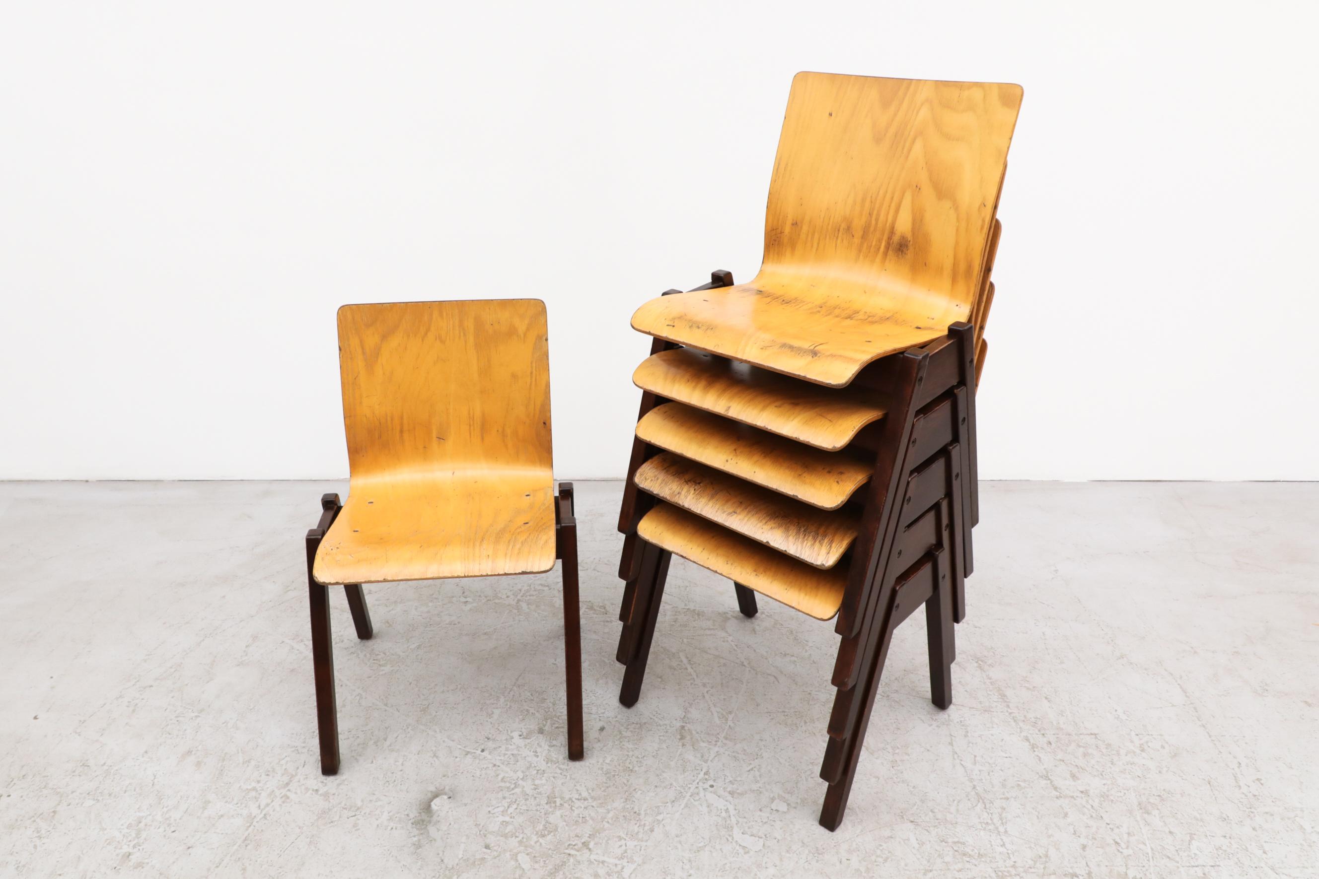 Dutch Roland Rainer Style Stacking Chairs Honey Beech & Dark Brown Stained Wood Legs For Sale