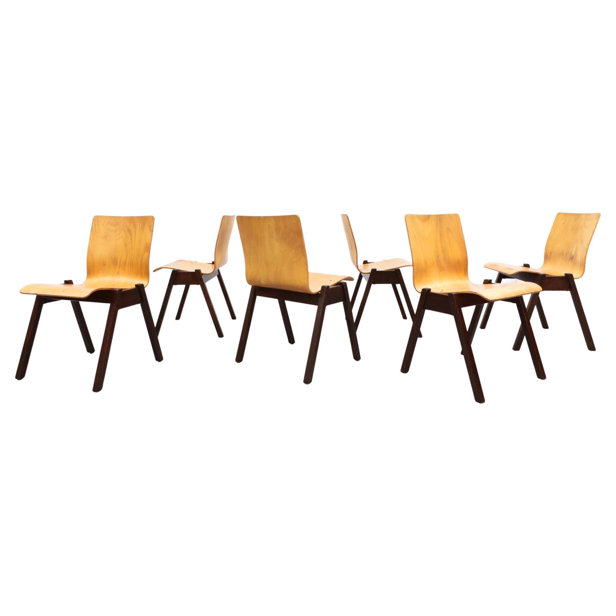 Roland Rainer Style Stacking Chairs Honey Beech & Dark Brown Stained Wood Legs For Sale