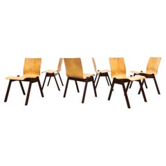 Used Roland Rainer Style Stacking Chairs Honey Beech & Dark Brown Stained Wood Legs