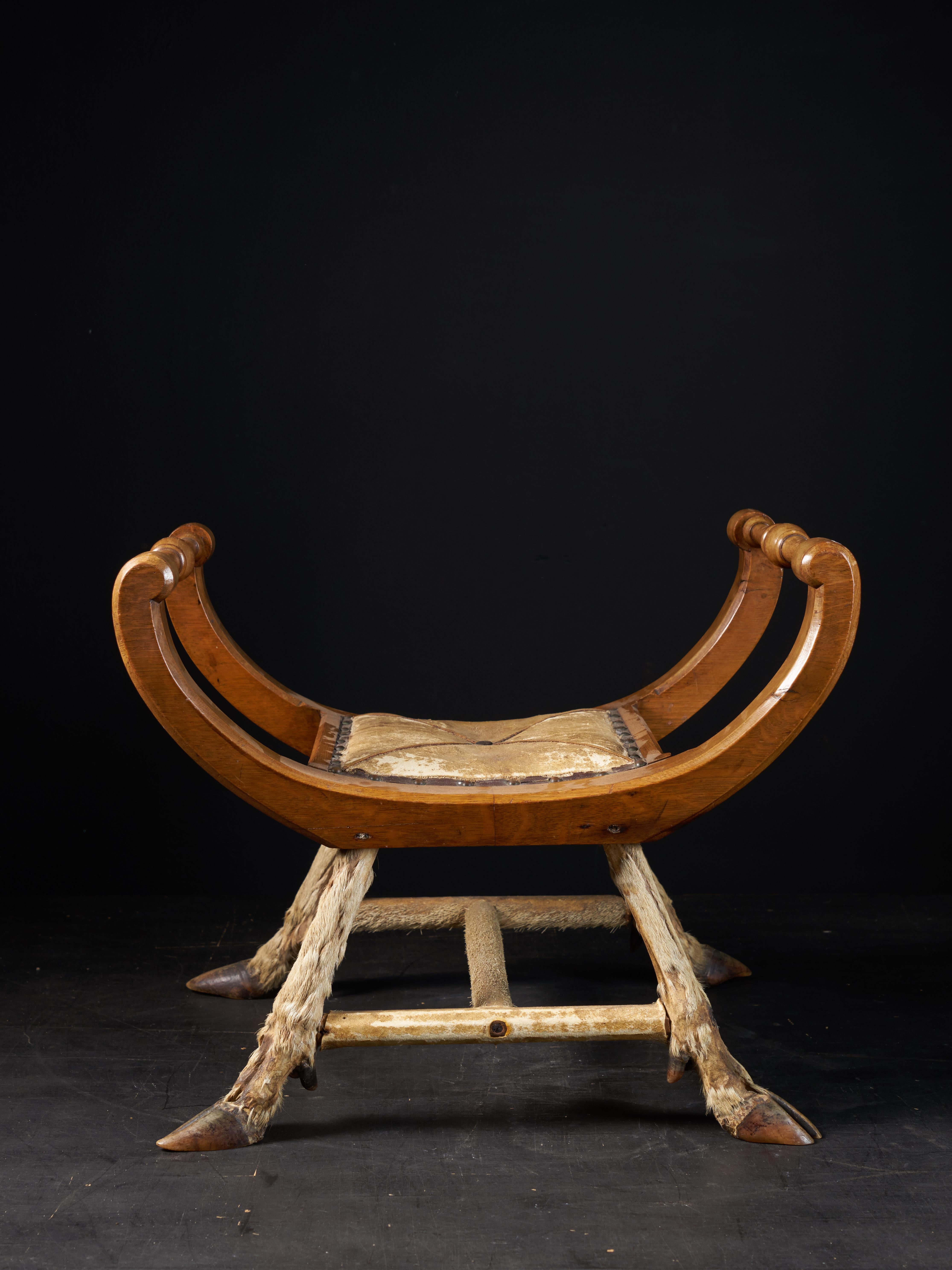 roman chair furniture