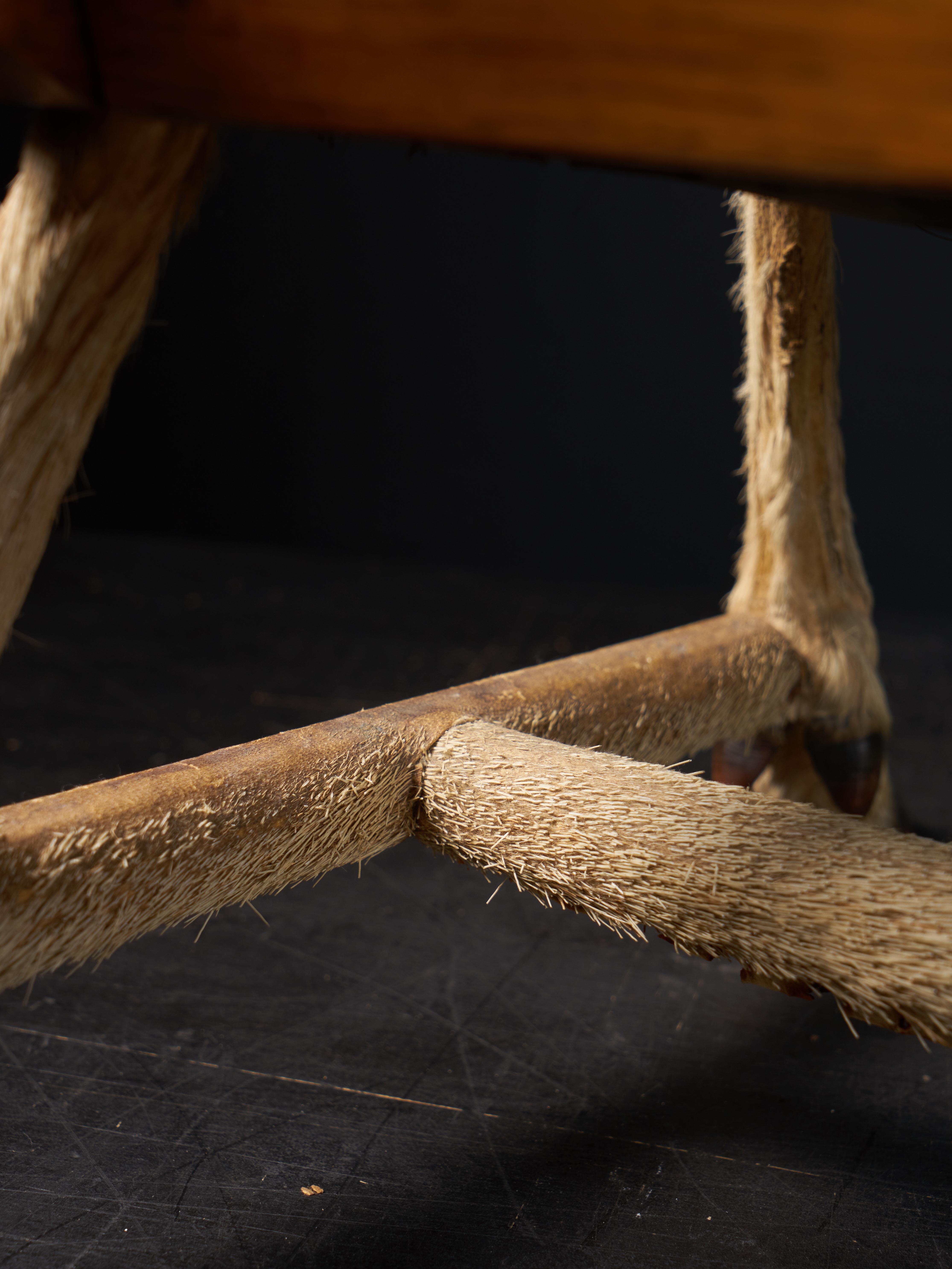 Roland Ward Unusual Roman Walnut Chair with Deer Feet In Good Condition In Leuven , BE