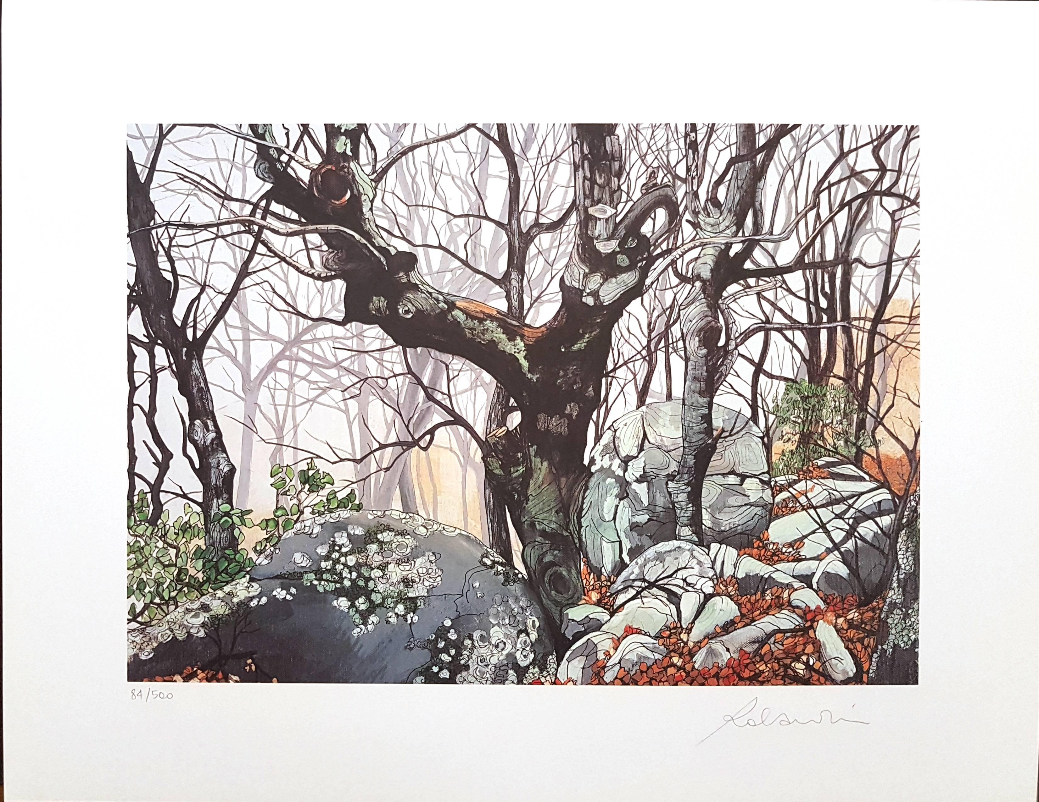 Rolandi (Maurizio Coccia) Figurative Print - In The Forest