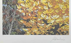 Paesaggi d'autunno - Serigrafia di Rolandi - Anni '80