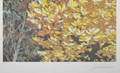 Paesaggi d'autunno - Serigrafia di Rolandi - Anni '80