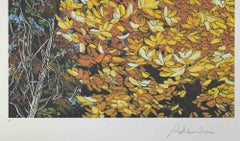 Landscapes of Autumn - Screen Print by Rolandi - 1980s