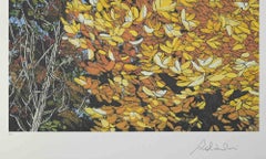 Landscapes Of Autumn - Screen Print by Rolandi - 1980s
