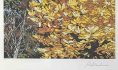 Landscapes Of Autumn - Screen Print by Rolandi - 1980s