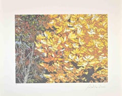 Paysages d'automne - Sérigraphie de Rolandi - années 1980