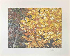 Paysages d'automne - Sérigraphie de Rolandi - années 1980