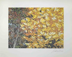 Landscapes of Autumn - Screen Print by Rolandi - 1980s