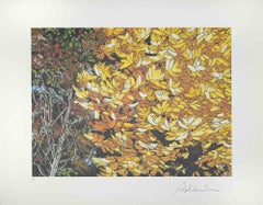 Paesaggi d'autunno - Serigrafia di Rolandi - Anni '80
