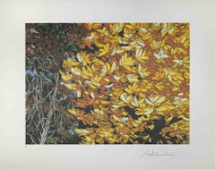 Rolandi (Maurizio Coccia) - Landscapes of Autumn - Screen Print by Rolandi - 1980s Landscapes of Autumn - Screen Print by Rolandi - 1980s