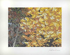 Landscapes Of Autumn - Screen Print by Rolandi - 1980s