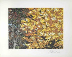 Landscapes Of Autumn - Screen Print by Rolandi - 1980s