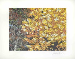 Paesaggi d'autunno - Serigrafia di Rolandi - Anni '80