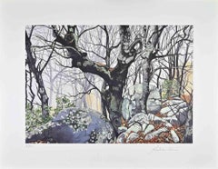 Magic Forest – Siebdruck von Rolandi – 1970er Jahre