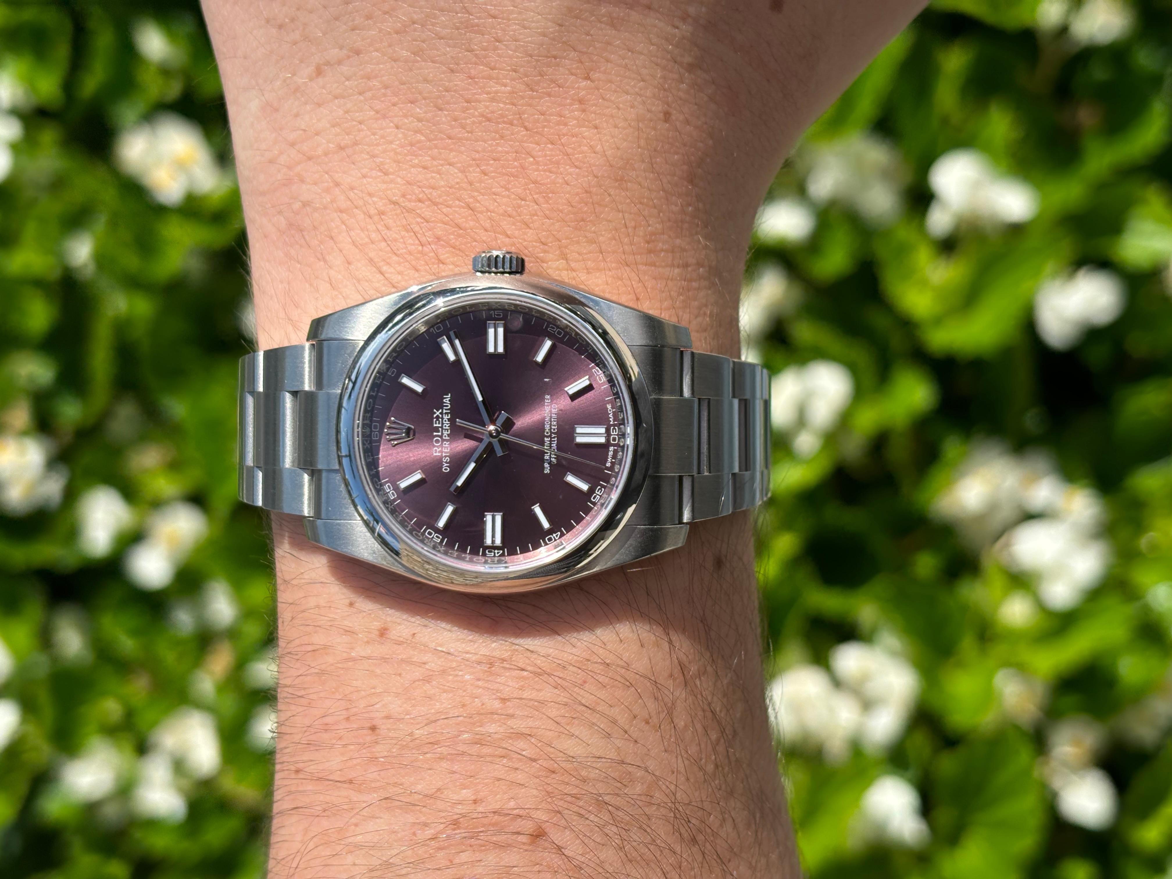 Rolex 11600 Oyster Perpetual 36mm Cadran raisin en vente 4