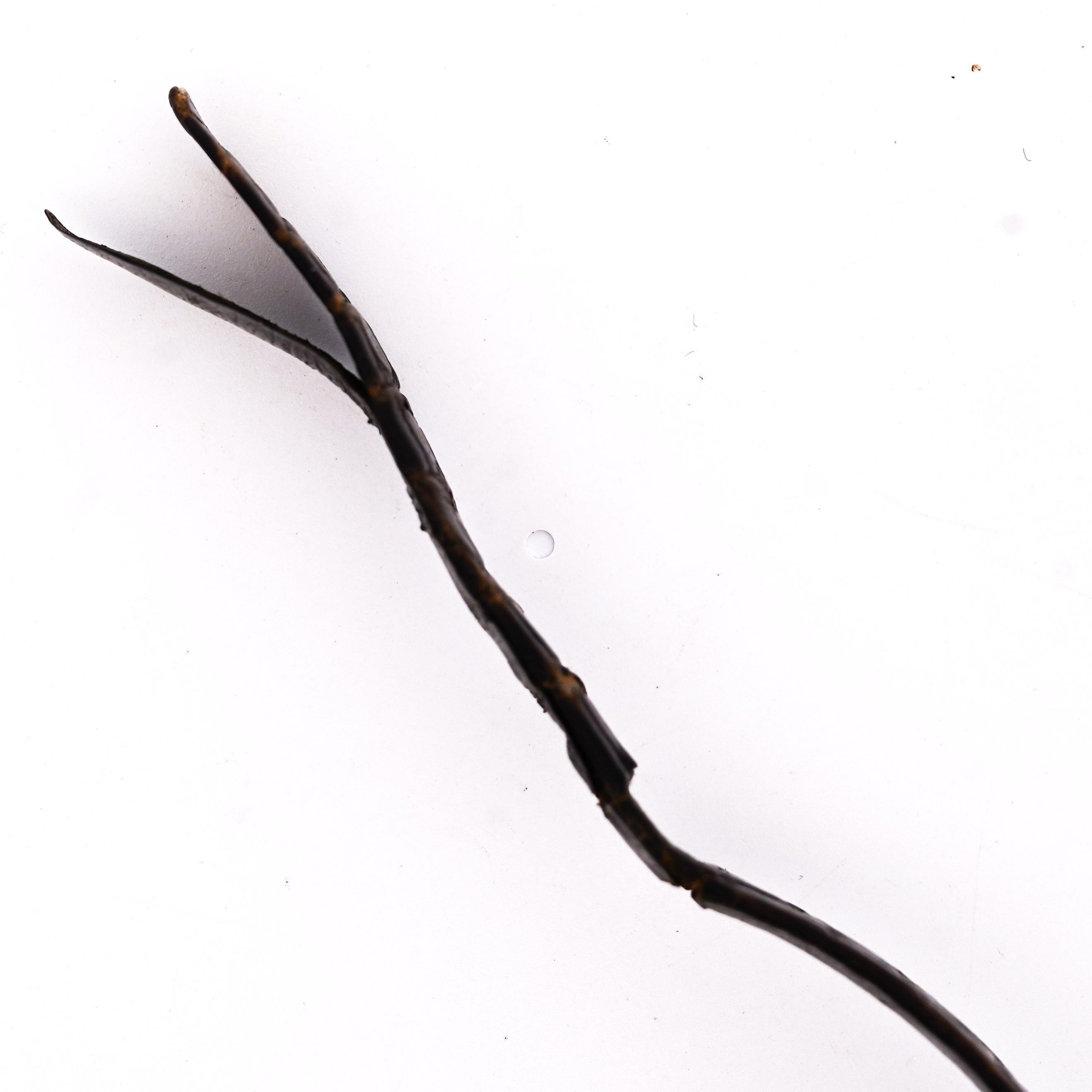 Reloj Rolex Cellini Oro 18K 4129 Manual Champán Esfera 25mm Piel en Excelente estado para la venta en Miami, FL