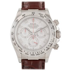 Rolex Cosmograph Daytona Meteorite Dial Watch 116519
