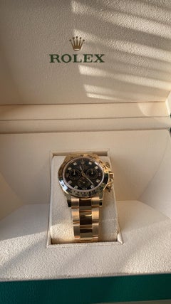 Rolex Cosmograph Daytona Oyster 116508 Black Diamond Dial