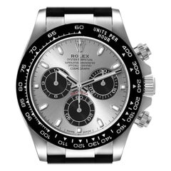 Rolex Cosmograph Daytona Oro Bianco Quadrante Grigio Orologio Uomo 116519 Scheda Scatola