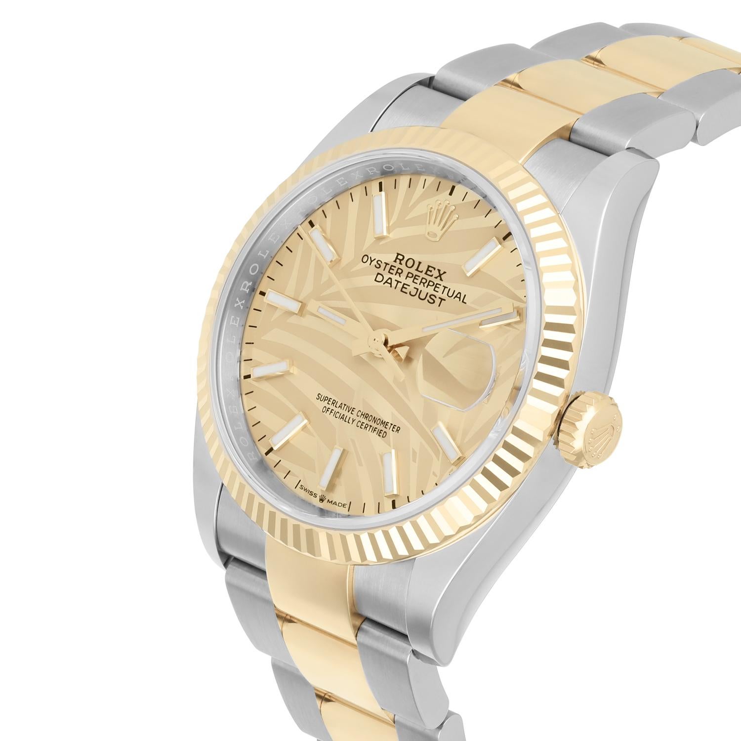 Modern Rolex Datejust 36mm Champagne Palm Dial Oyster 126233, Unworn Watch Complete
