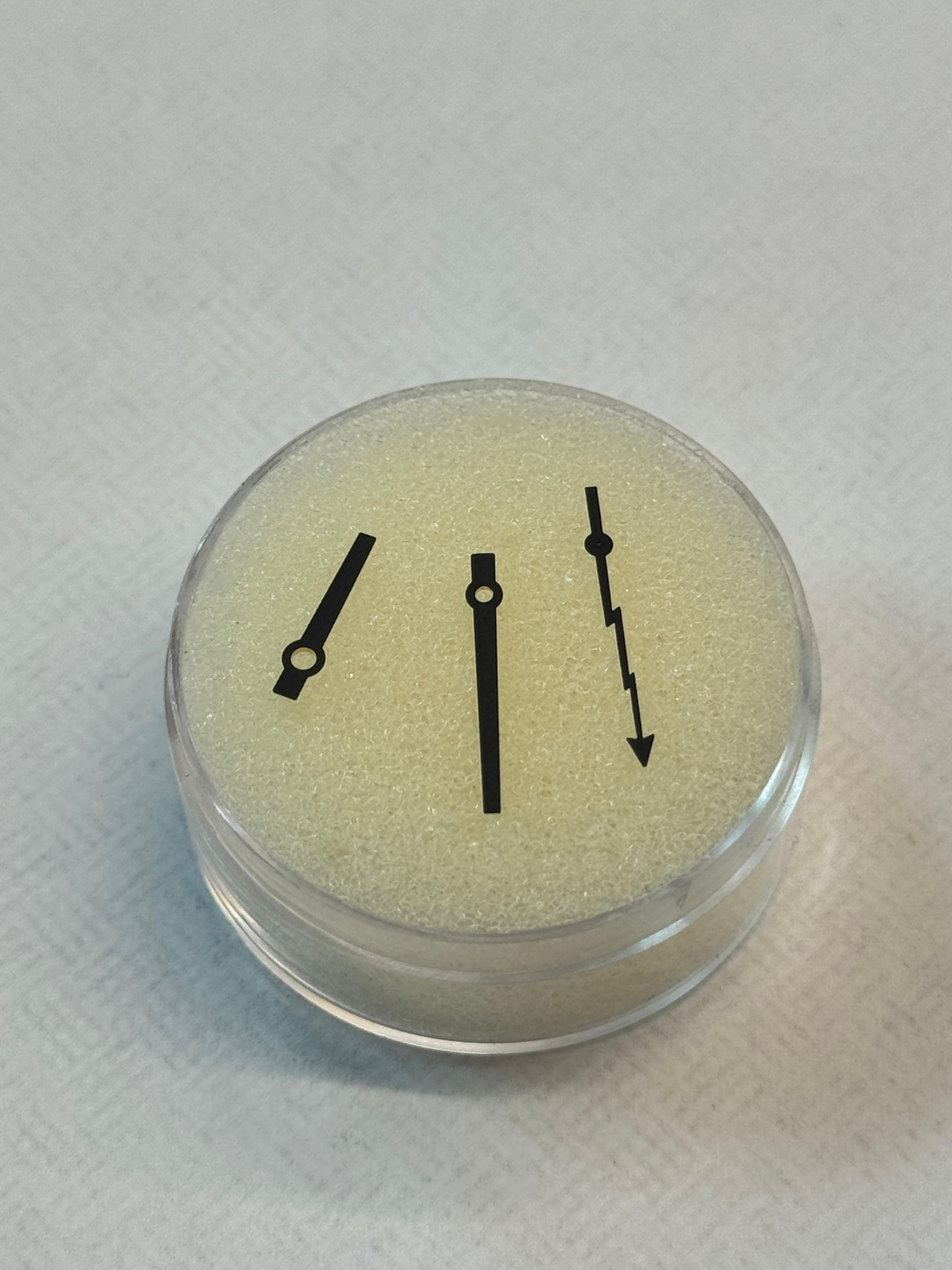 Rolex Datejust 41mm 116300 Custom Turchese Chi se ne frega sono già in ritardo Quadrante in vendita 8