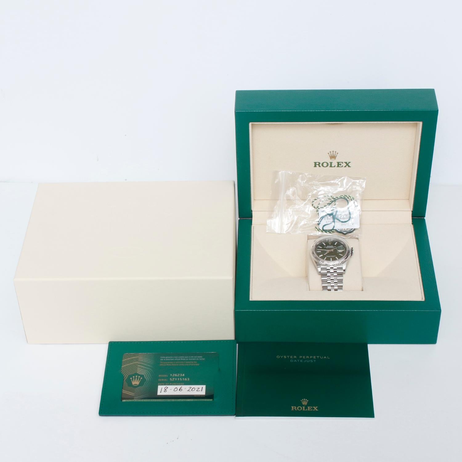 Rolex Datejust Men's Stainless Steel Watch Green Palm Motif Dial 126234 1
