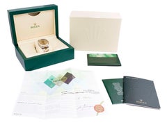 Rolex Datejust Thunderbird 116263