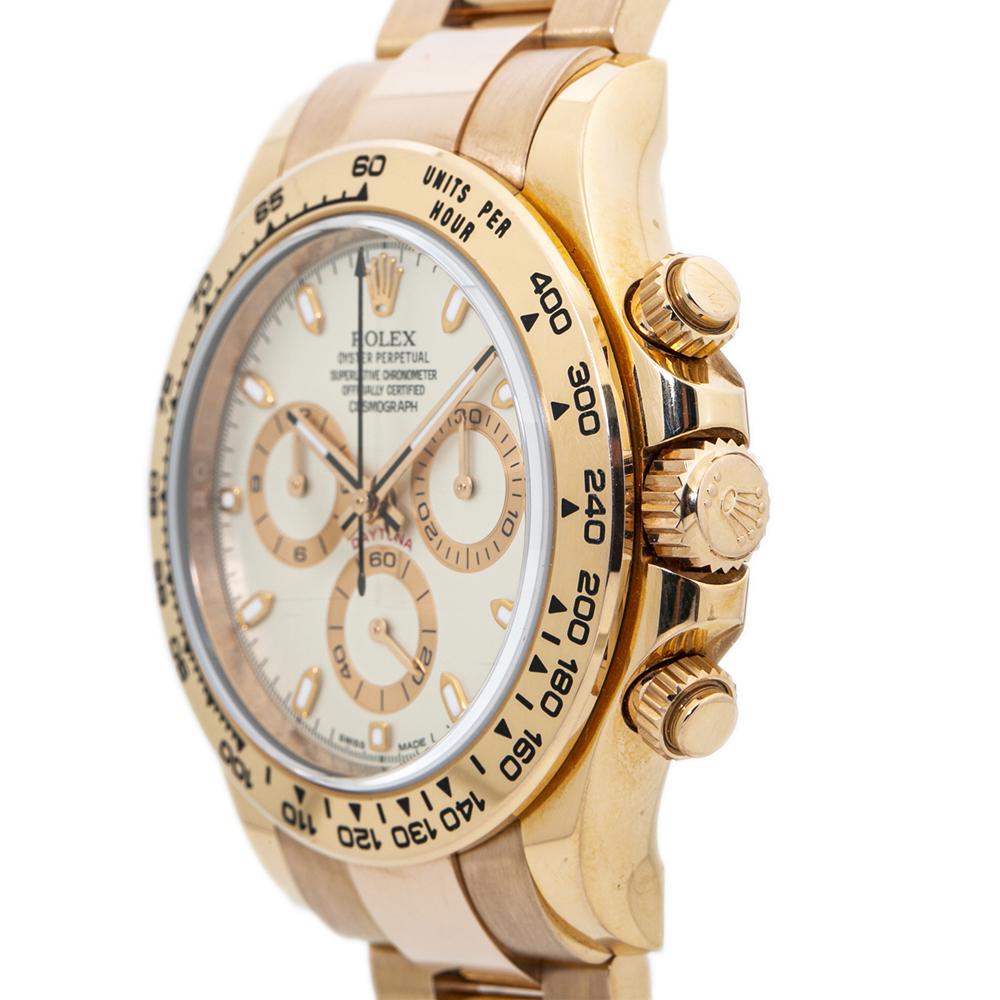 rose gold daytona ivory dial