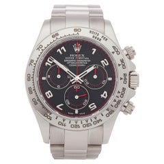 Montre chronographe Rolex Daytona 116509 en or blanc pour hommes