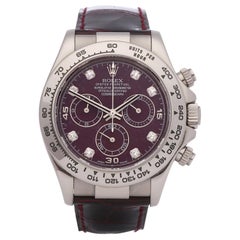 Rolex Daytona 116519 Herren Weißgold Grossular Zifferblatt Uhr