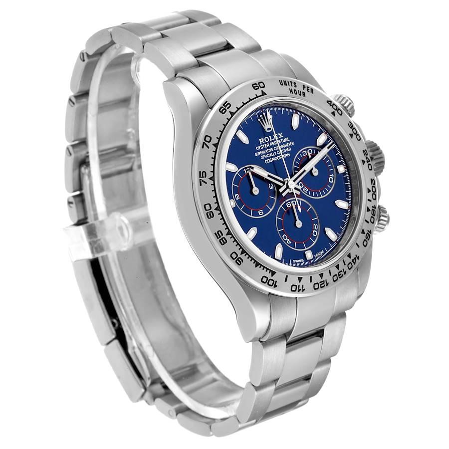 rolex daytona fond bleu
