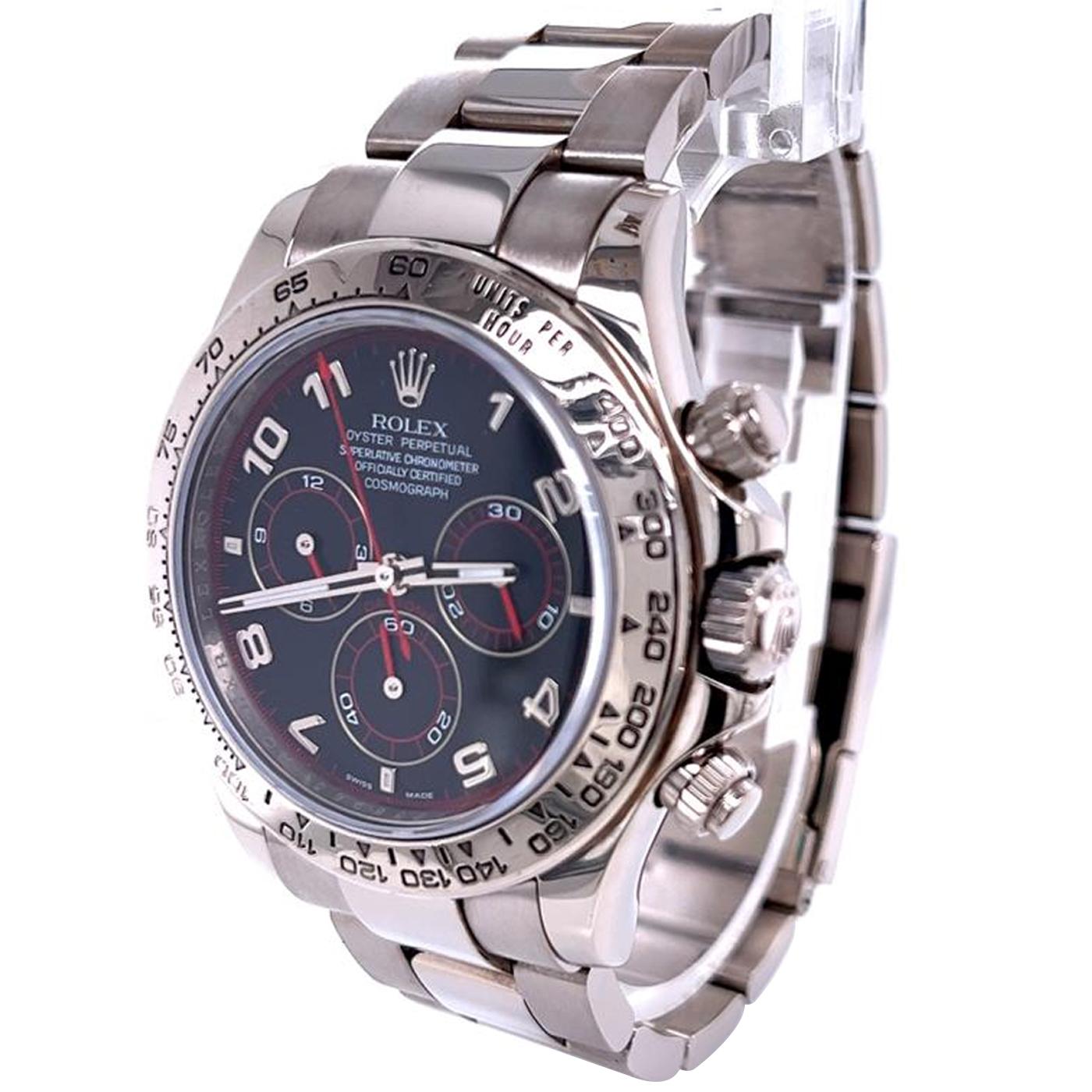 daytona oro bianco cinturino pelle