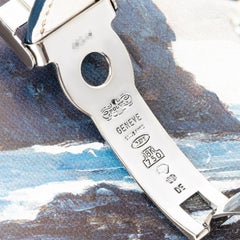 Rolex Daytona Meteorite Dial 116519